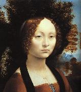  Leonardo  Da Vinci Portrait of Ginerva de'Benci oil painting reproduction